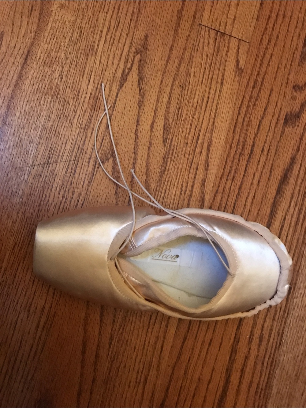 Nikolay nova pointe shoes